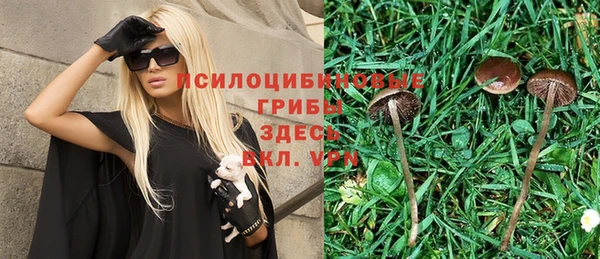 ешки Магадан
