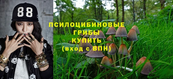 бутират Майский